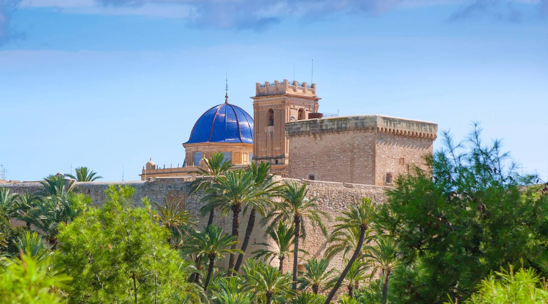 Cathédrale d'Elche